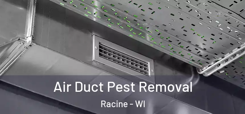Air Duct Pest Removal Racine - WI