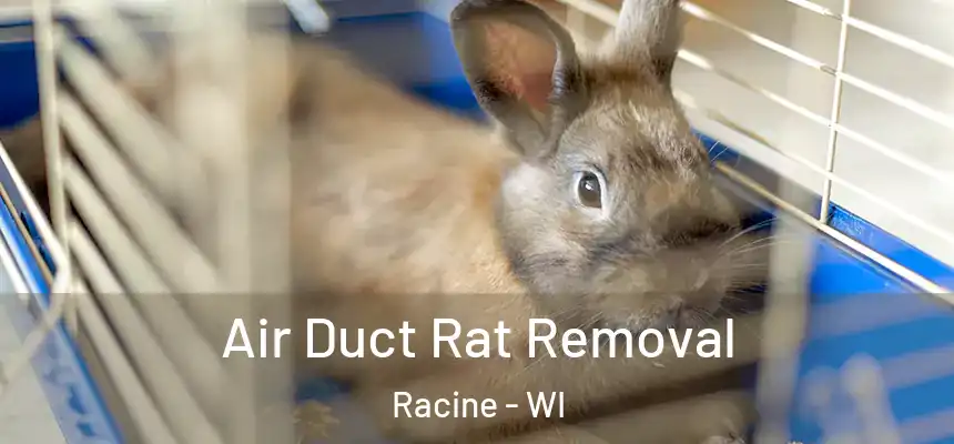  Air Duct Rat Removal Racine - WI