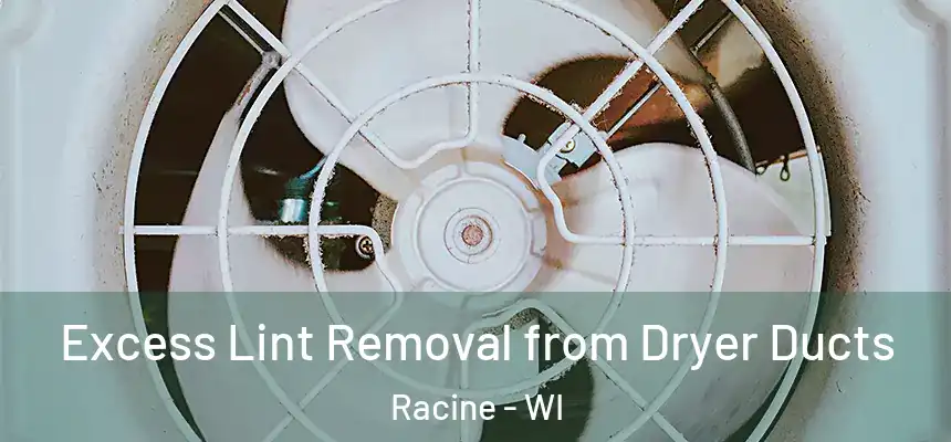 Excess Lint Removal from Dryer Ducts Racine - WI
