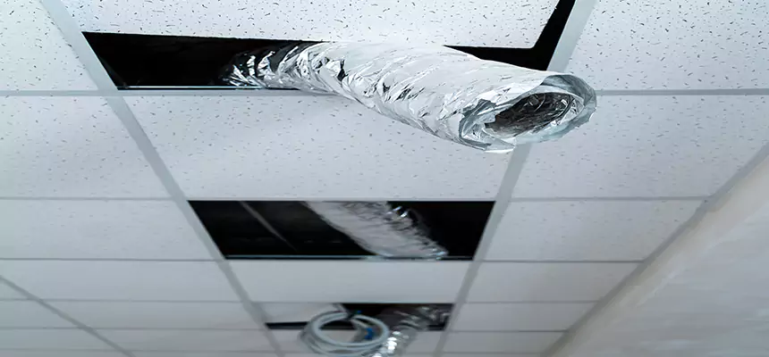 Our Air Duct Pet Hair Removal Services in Racine, WI