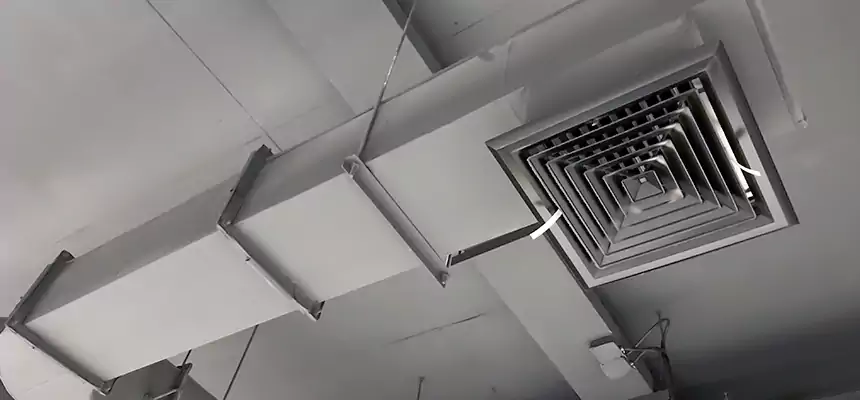 Our Pest Removal From Ducts Services in Racine, WI