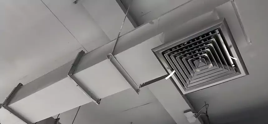 Our Rodent Droppings In Vents Services in Racine, WI