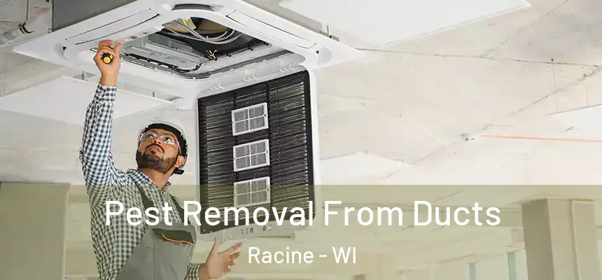 Pest Removal From Ducts Racine - WI