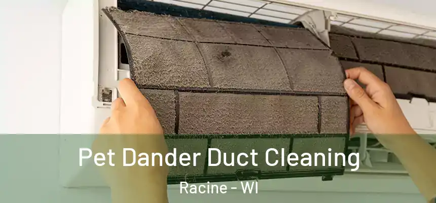 Pet Dander Duct Cleaning Racine - WI