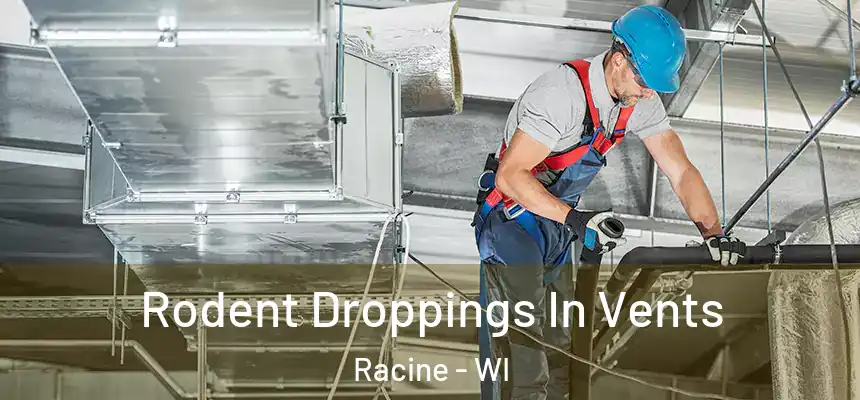 Rodent Droppings In Vents Racine - WI