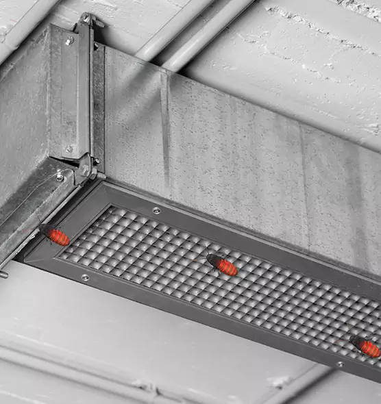About Air Duct Cockroach Removal in Racine, WI