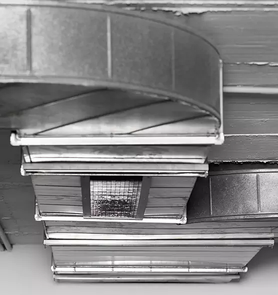 Professional Air Duct Pest Removal in Racine, WI