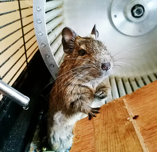 Why Homeowners & Businesses Trust Us Racine, WI